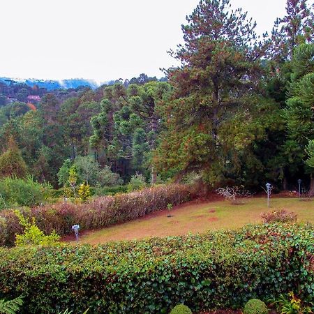 Chale Com Lareira E Wi-Fi Em Campos Do Jordao - Sp Villa Eksteriør bilde